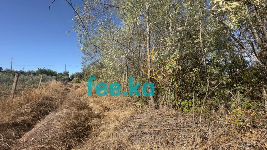 Terreno para Venda em Ladoeiro Foto 33