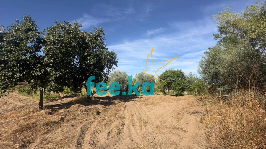Terreno para Venda em Ladoeiro Foto 35