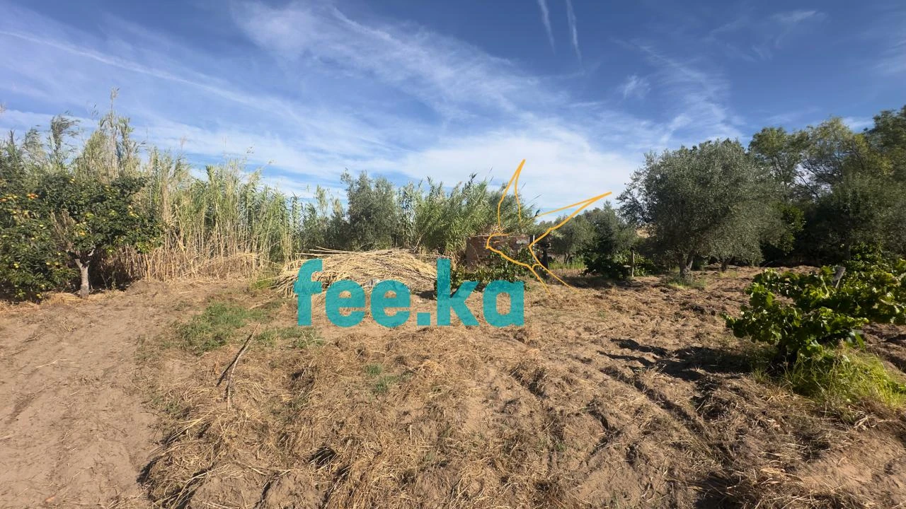 Terreno para Venda em Ladoeiro Foto 10