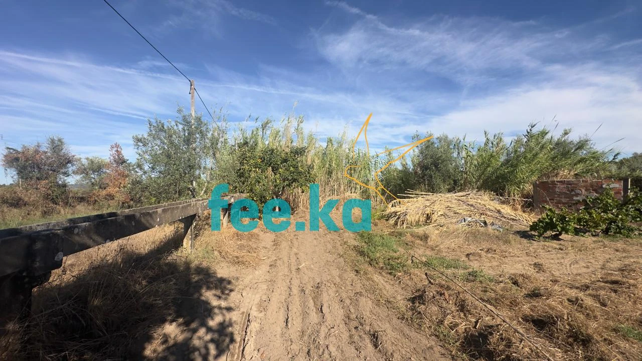 Terreno para Venda em Ladoeiro Foto 13