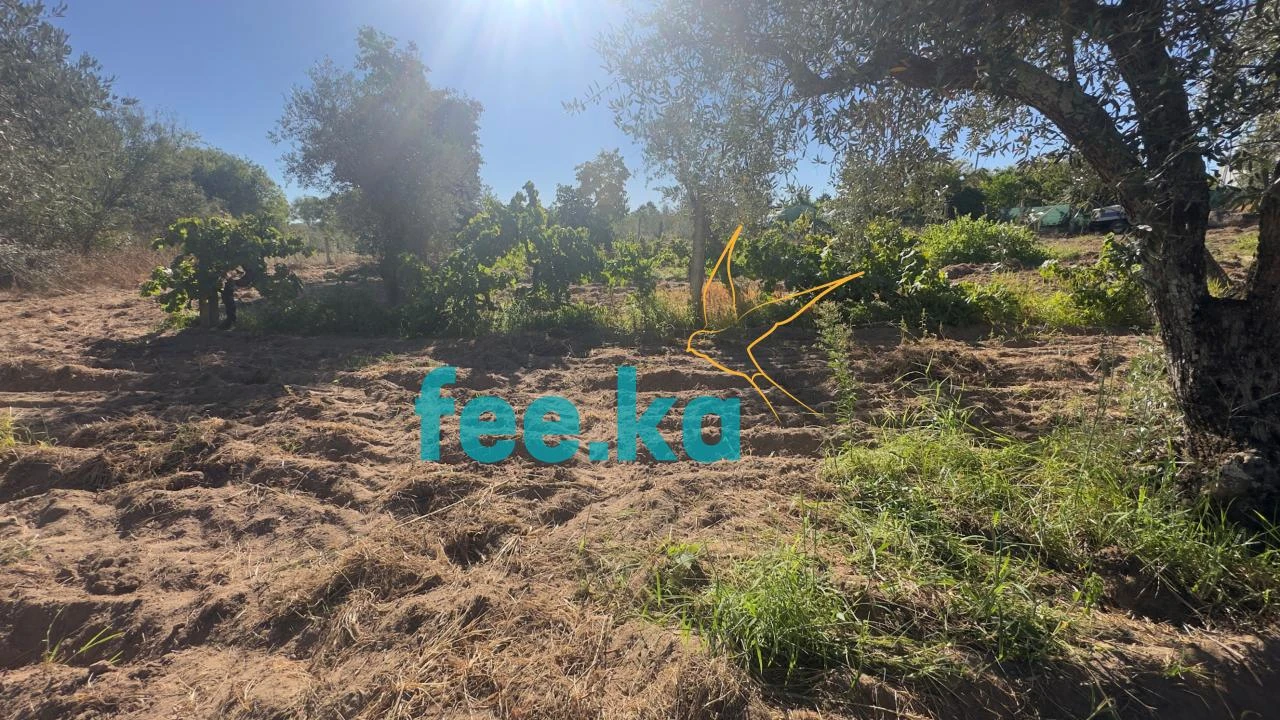 Terreno para Venda em Ladoeiro Foto 15