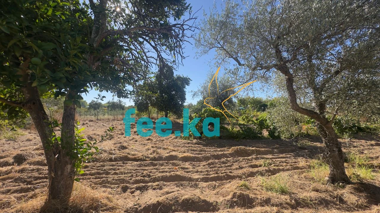 Terreno para Venda em Ladoeiro Foto 17
