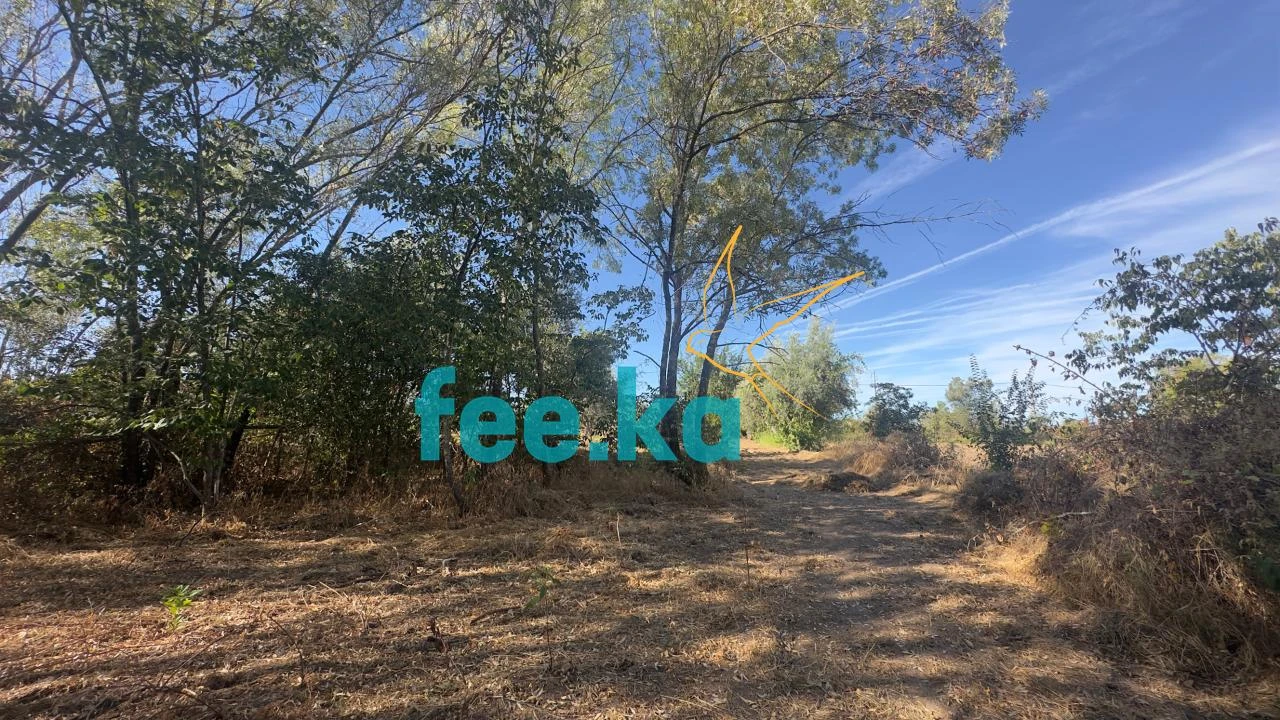 Terreno para Venda em Ladoeiro Foto 21