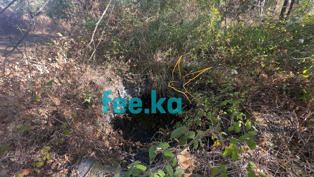 Terreno para Venda em Ladoeiro Foto 22
