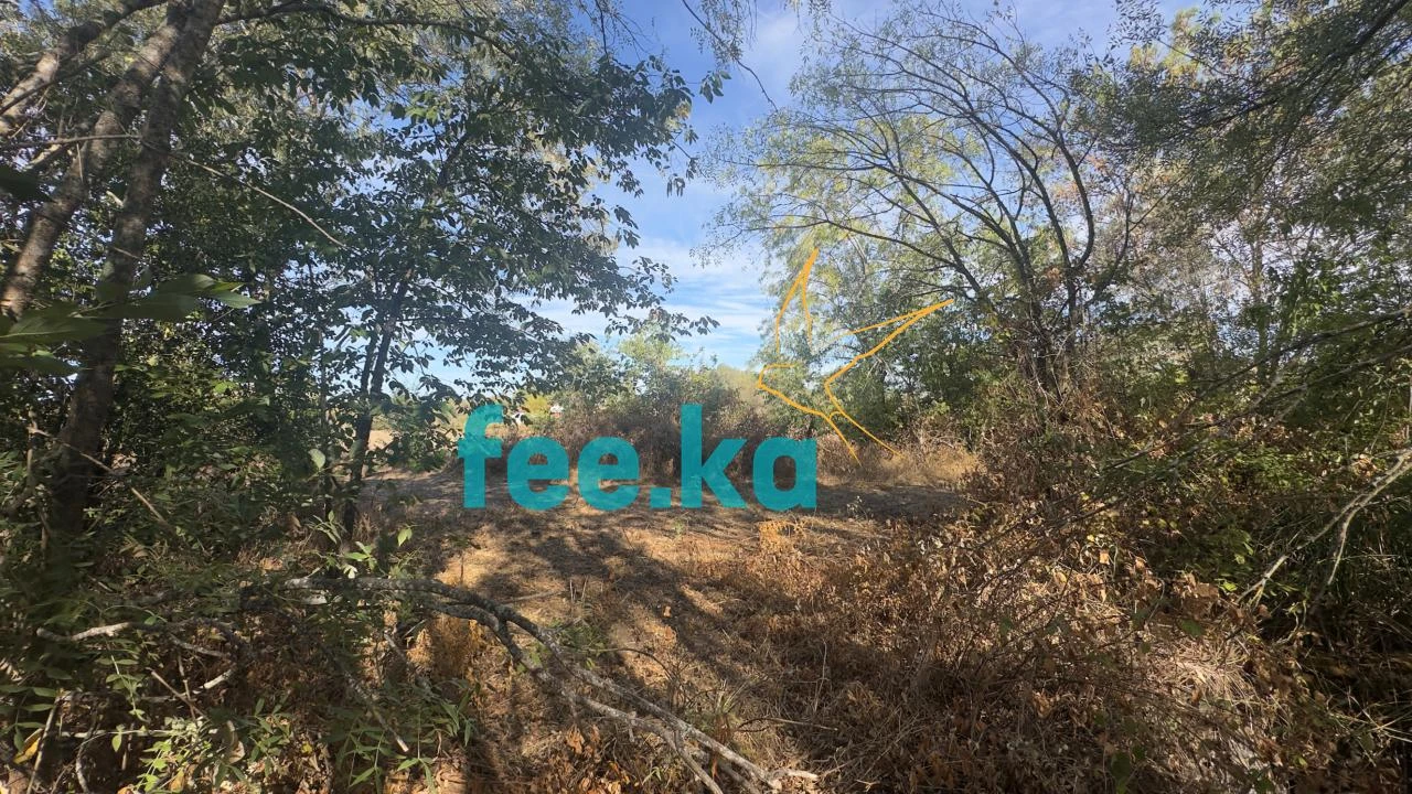 Terreno para Venda em Ladoeiro Foto 24