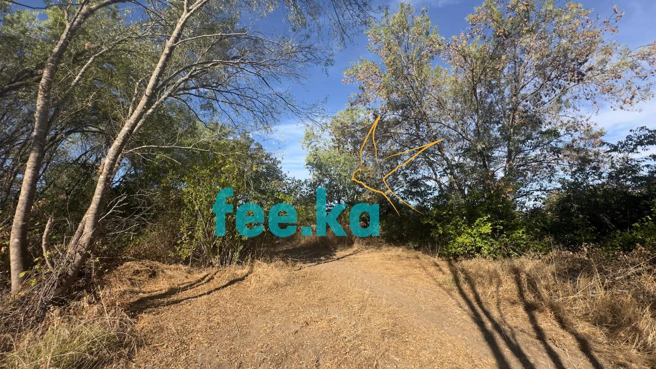 Terreno para Venda em Ladoeiro Foto 30