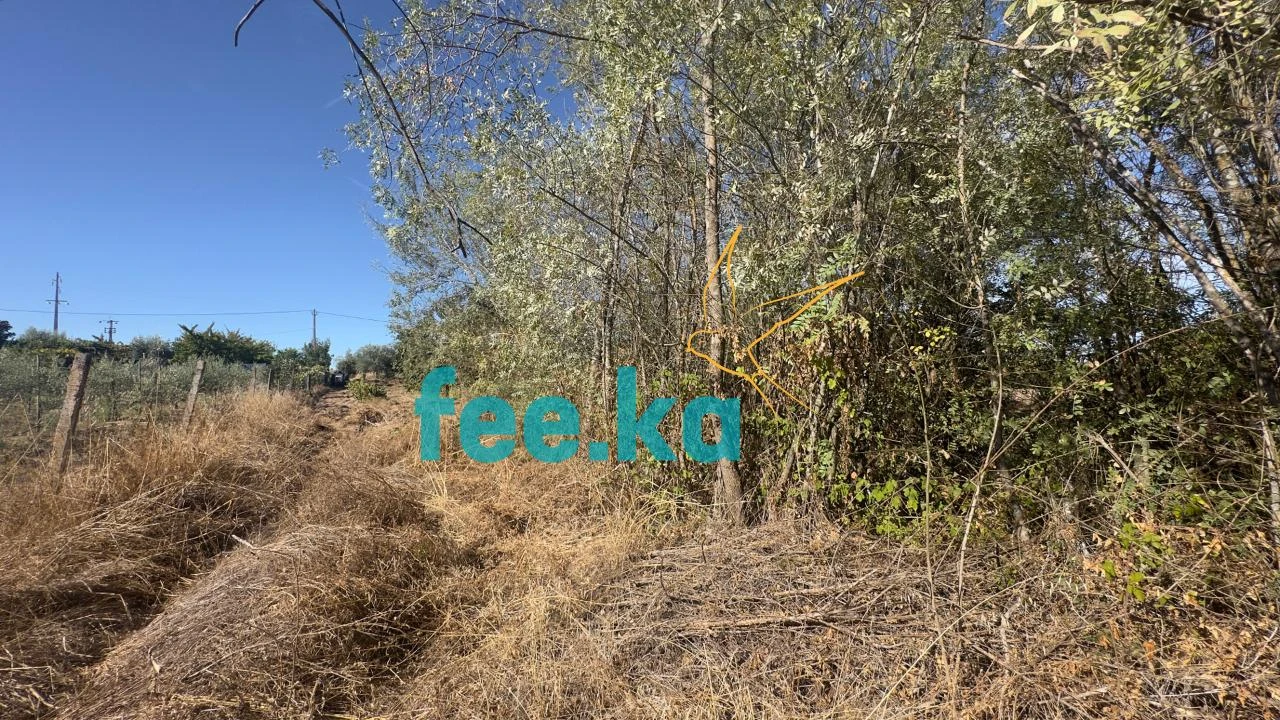 Terreno para Venda em Ladoeiro Foto 33