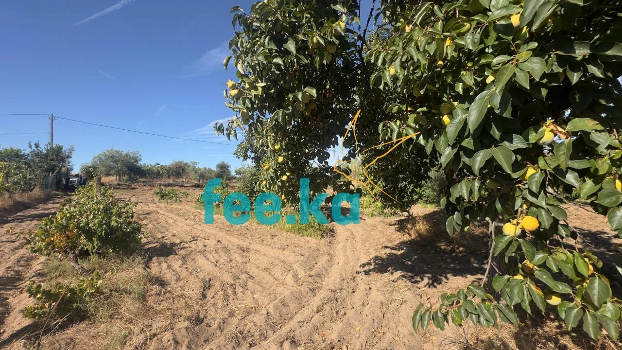 Terreno para Venda em Ladoeiro Foto 36