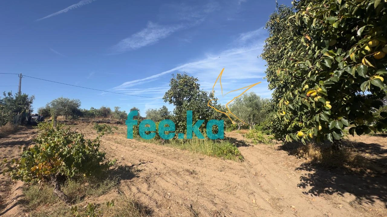 Terreno para Venda em Ladoeiro Foto 37