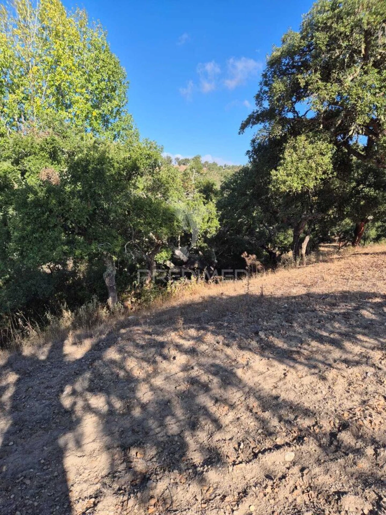 Quinta T2 para Venda em São Luis Foto 7