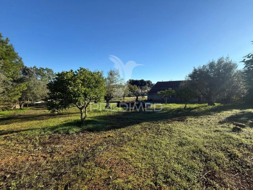 Moradia T3 para Venda em Brogueira, Parceiros de Igreja e Alcorochel Foto 38
