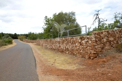 Terreno para Venda em Alte