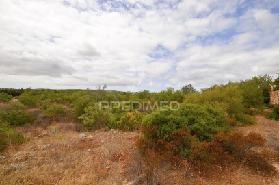 Terreno para Venda em Alte