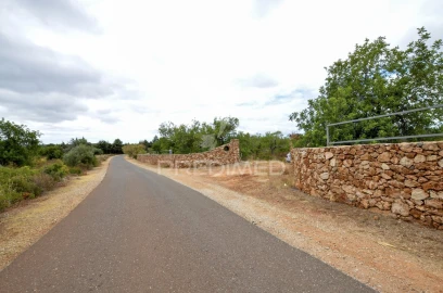 Terreno para Venda em Alte