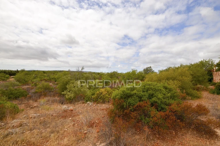 Terreno para Venda em Alte Foto 23