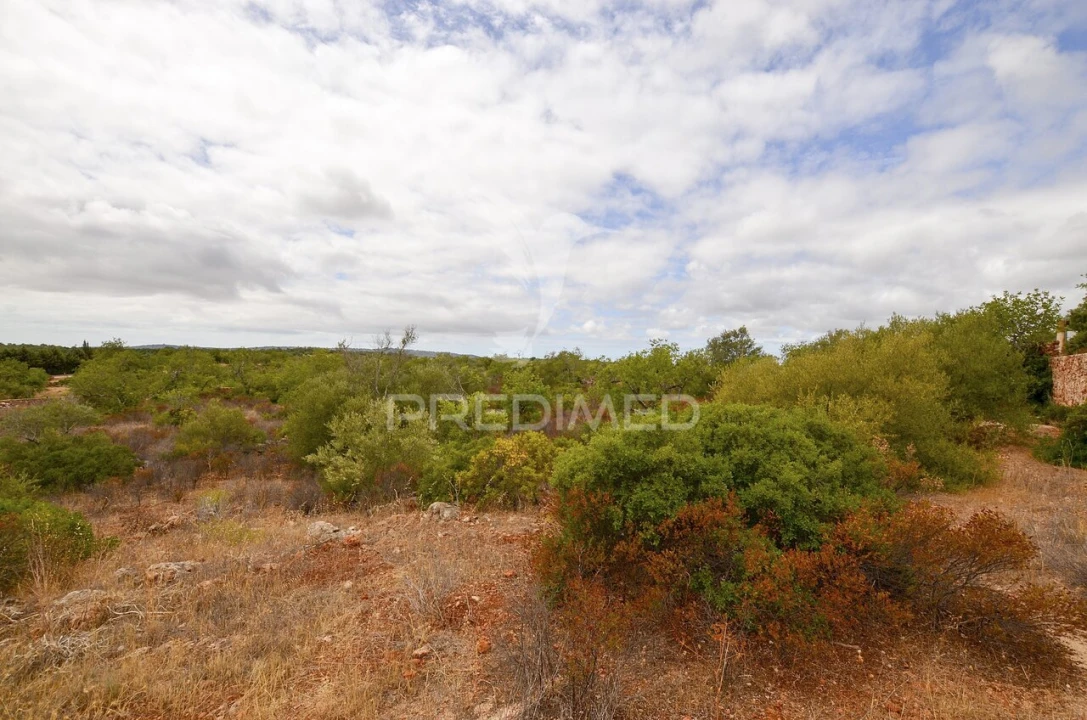 Terreno para Venda em Alte Foto 23