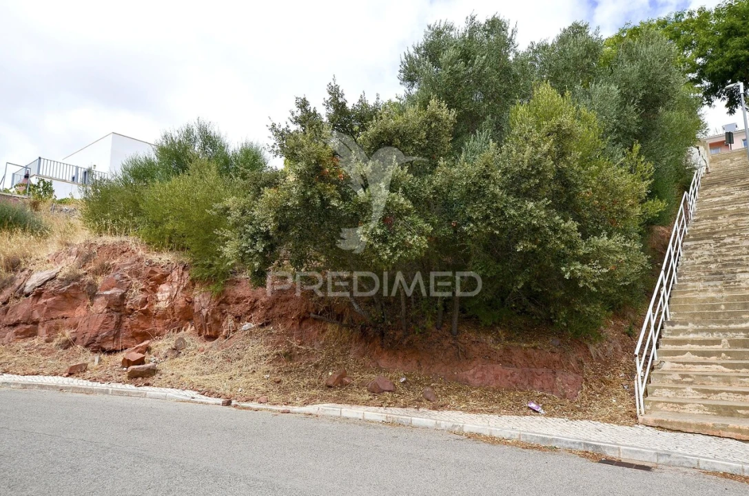 Terreno para Venda em São Bartolomeu de Messines Foto 5