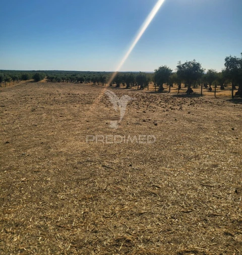 Terreno para Venda em Mourão