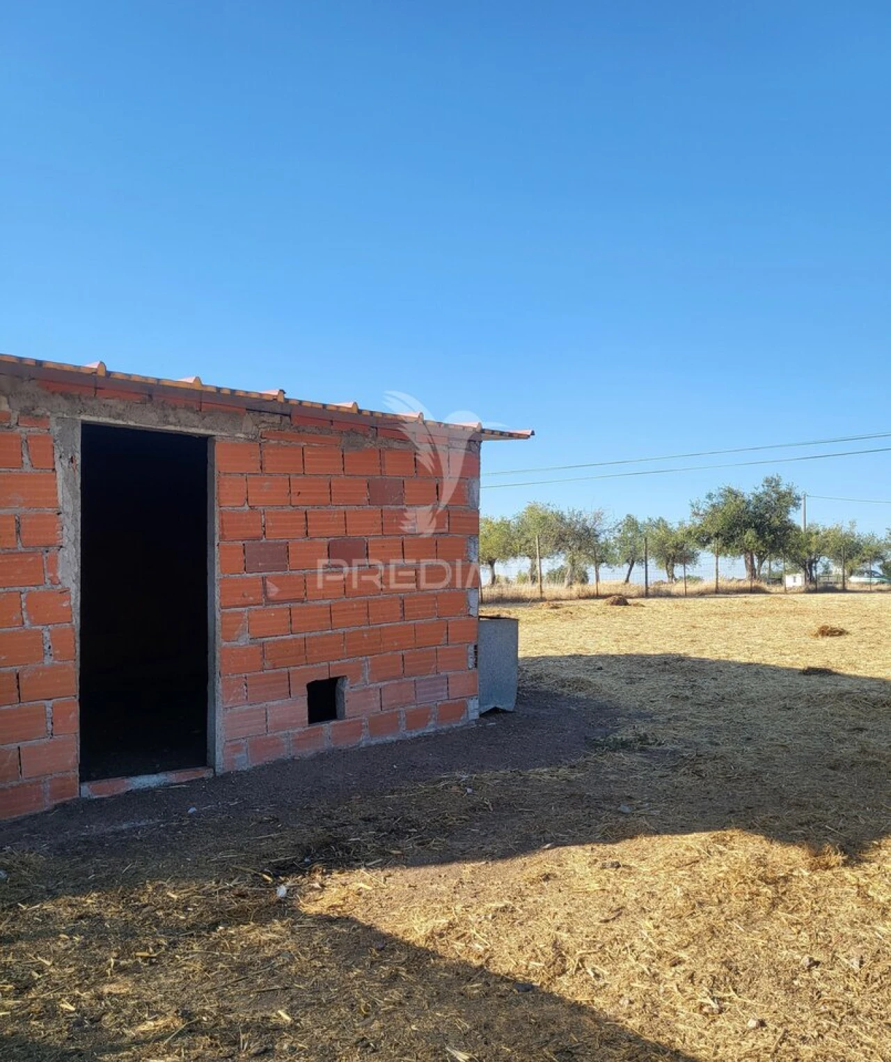 Terreno para Venda em Mourão Foto 12