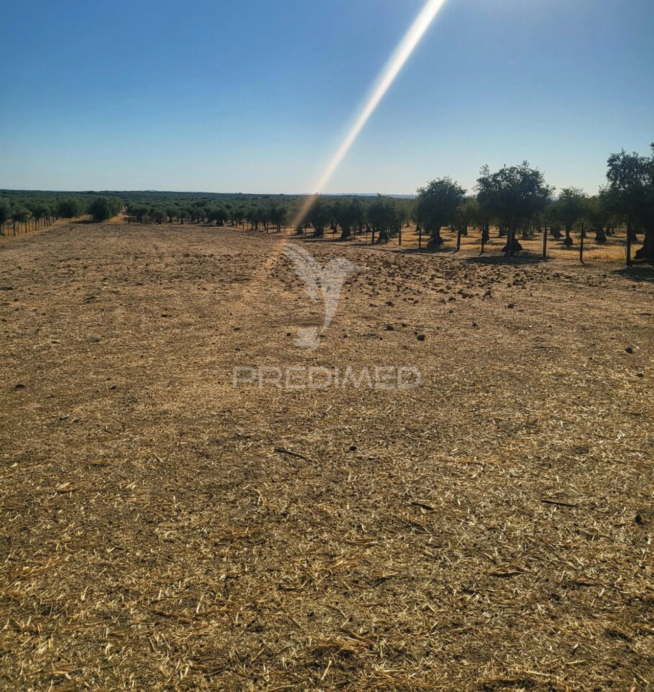 Terreno para Venda em Mourão Foto 2