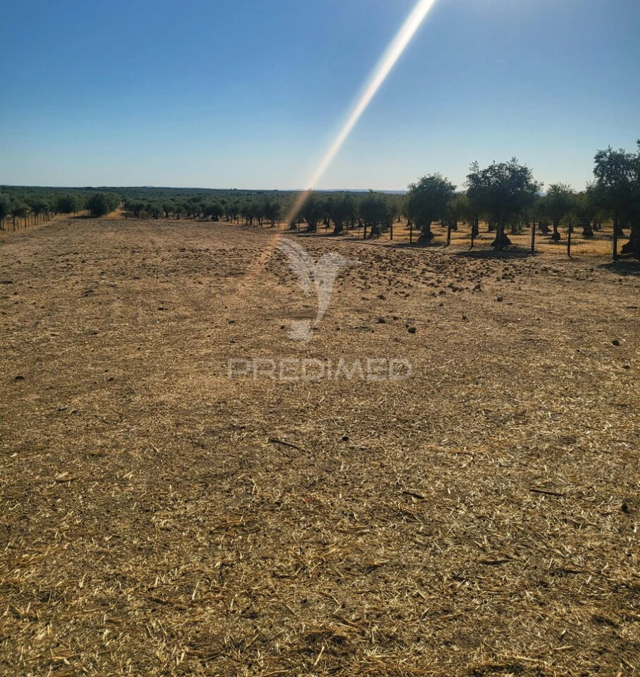 Terreno para Venda em Mourão Foto 2