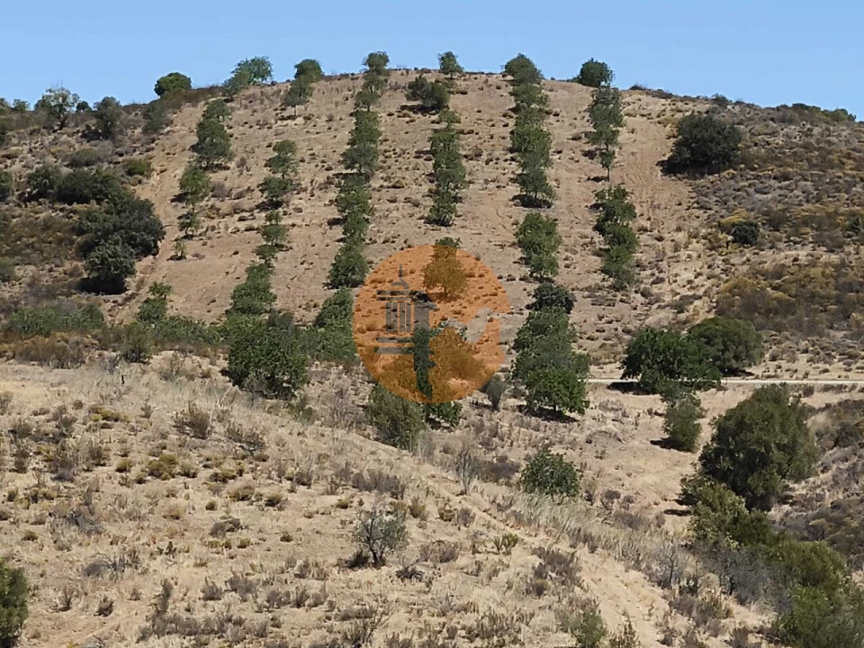 Terreno para Venda em Odeleite Foto 7