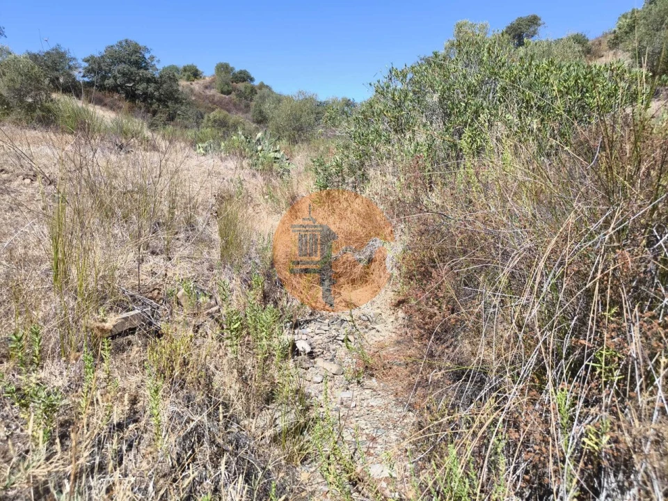 Terreno para Venda em Odeleite Foto 11