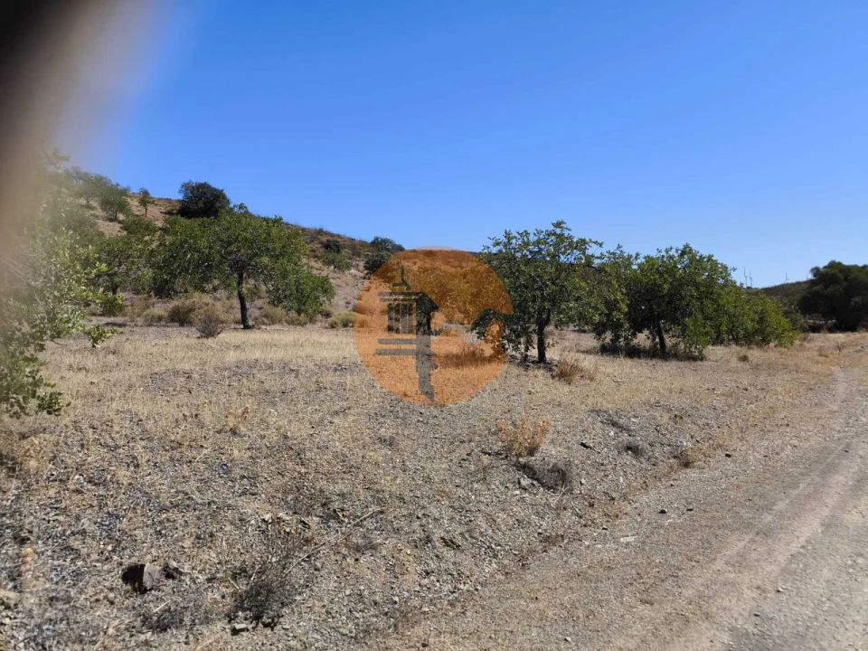 Terreno para Venda em Odeleite Foto 18