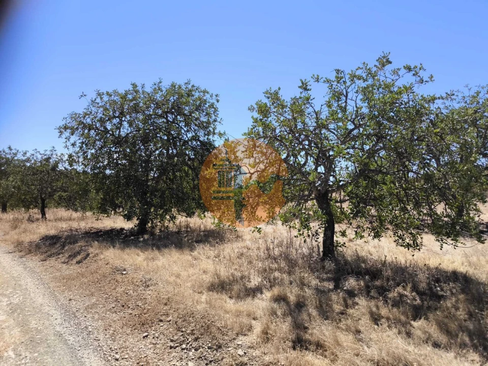 Terreno para Venda em Odeleite Foto 20