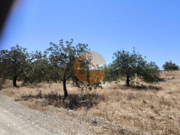 Terreno para Venda em Odeleite