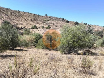 Terreno para Venda em Odeleite