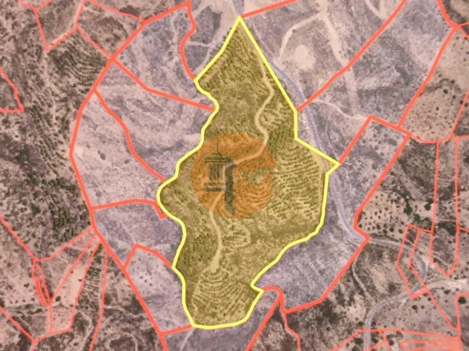 Terreno para Venda em Azinhal Foto 2