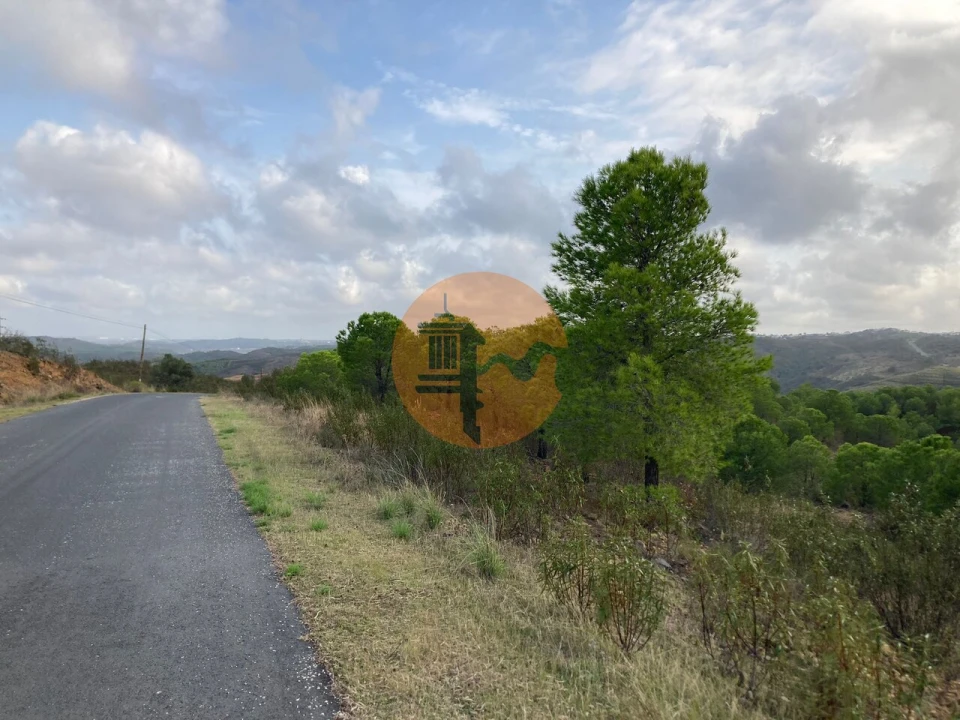 Terreno para Venda em Azinhal Foto 5