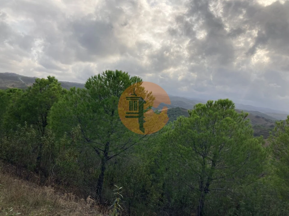 Terreno para Venda em Azinhal Foto 6