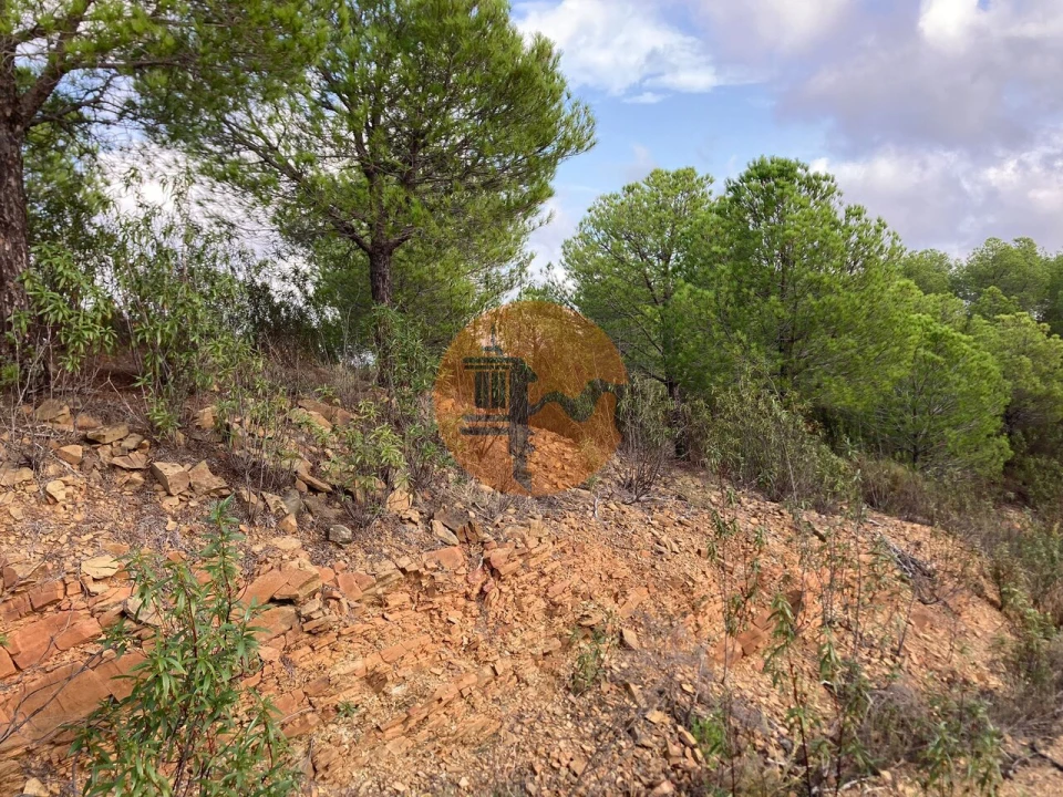 Terreno para Venda em Azinhal Foto 7