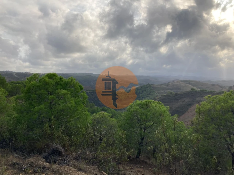Terreno para Venda em Azinhal Foto 9