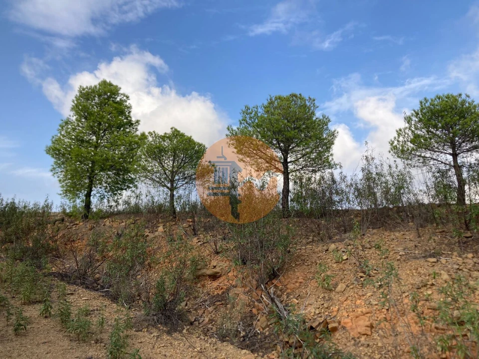 Terreno para Venda em Azinhal Foto 1