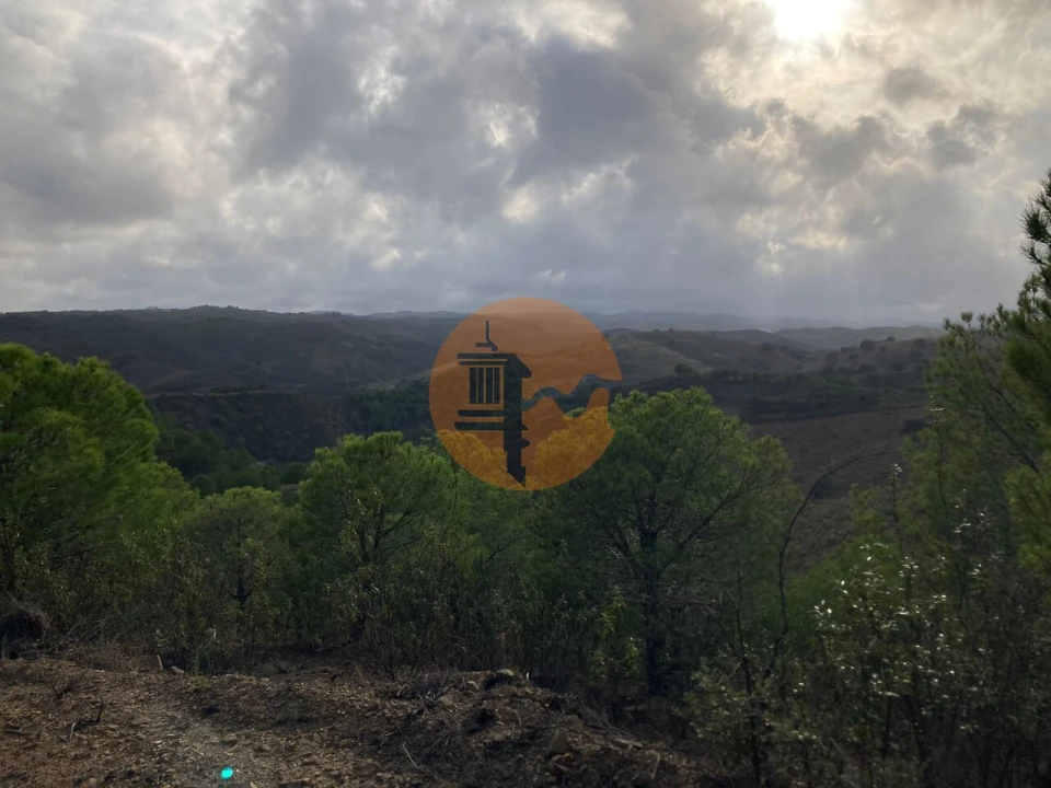 Terreno para Venda em Azinhal Foto 15