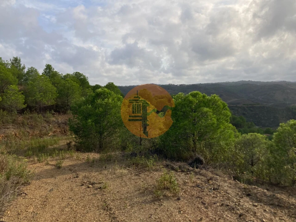 Terreno para Venda em Azinhal Foto 16