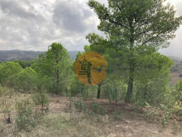 Terreno para Venda em Azinhal