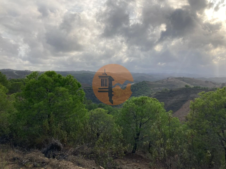 Negócio para Venda em Azinhal Foto 13