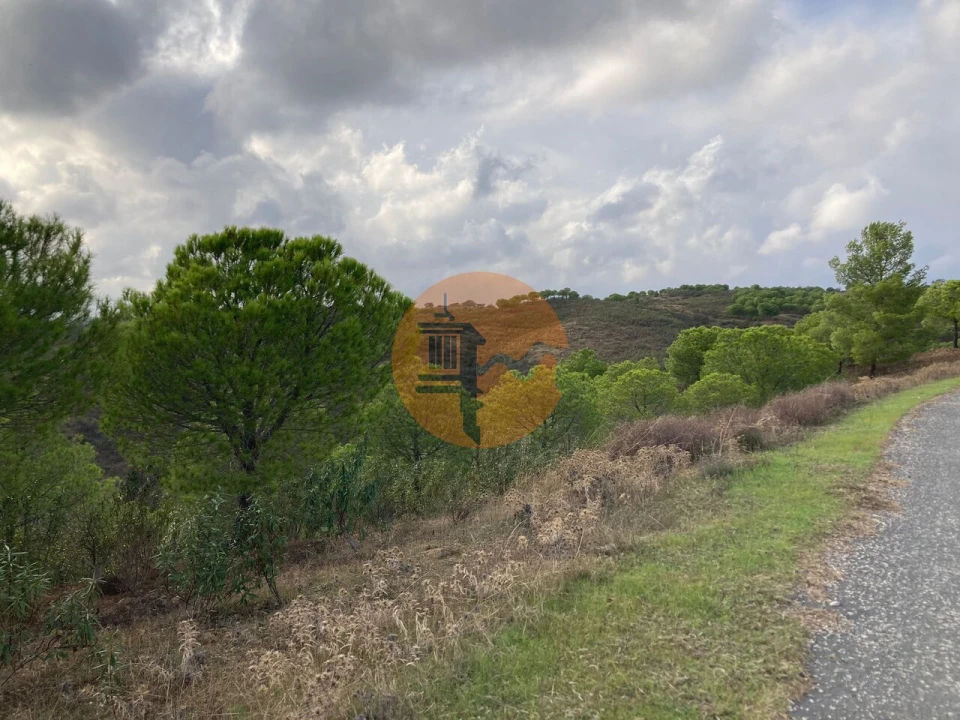 Negócio para Venda em Azinhal Foto 20