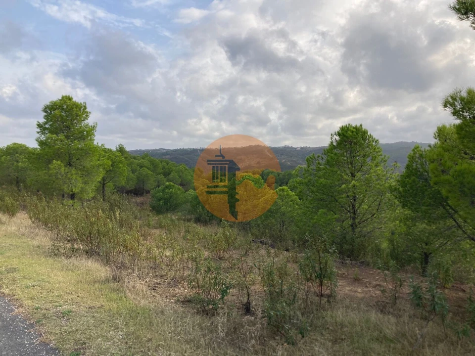 Negócio para Venda em Azinhal Foto 22