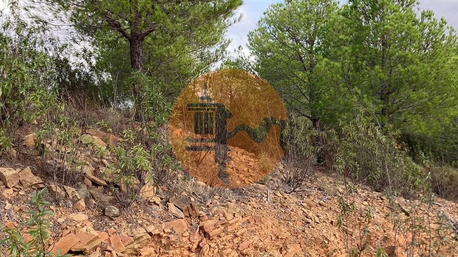 Negócio para Venda em Azinhal