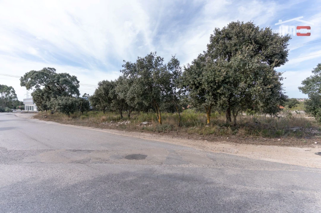 Terreno Agricola ou Rústico para Venda em Fatima Foto 5