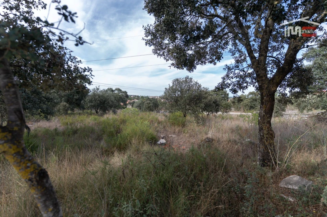 Terreno Agricola ou Rústico para Venda em Fatima Foto 7
