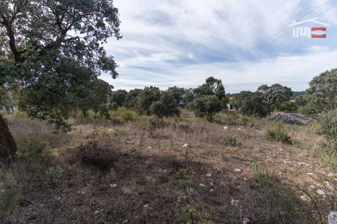 Terreno Agricola ou Rústico para Venda em Fatima Foto 8