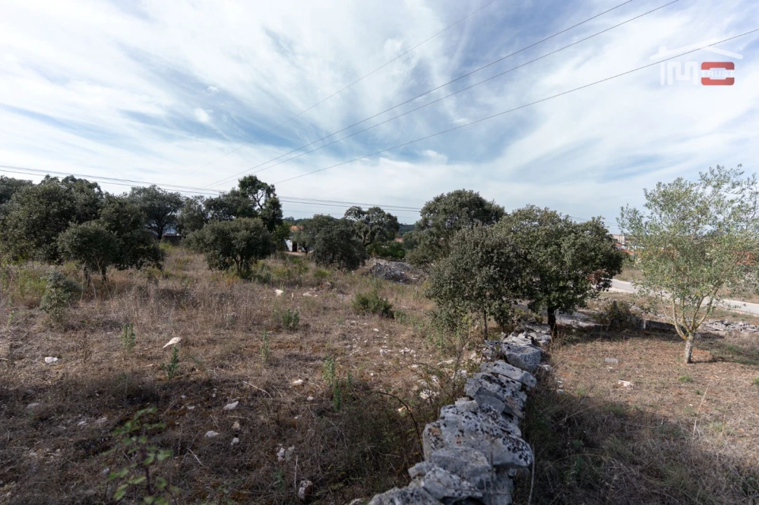 Terreno Agricola ou Rústico para Venda em Fatima Foto 9