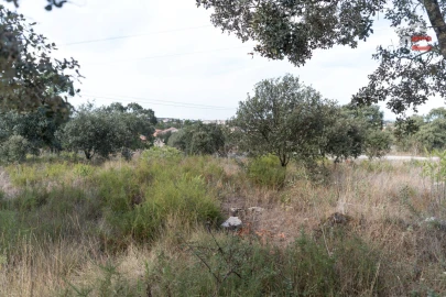Terreno Agricola ou Rústico para Venda em Fatima