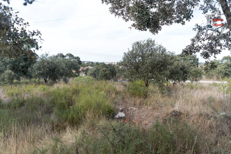Terreno Agricola ou Rústico para Venda em Fatima Foto 6